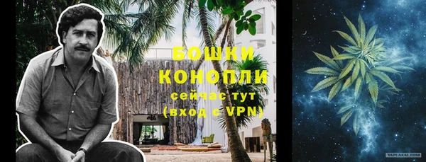 гидра Мегион